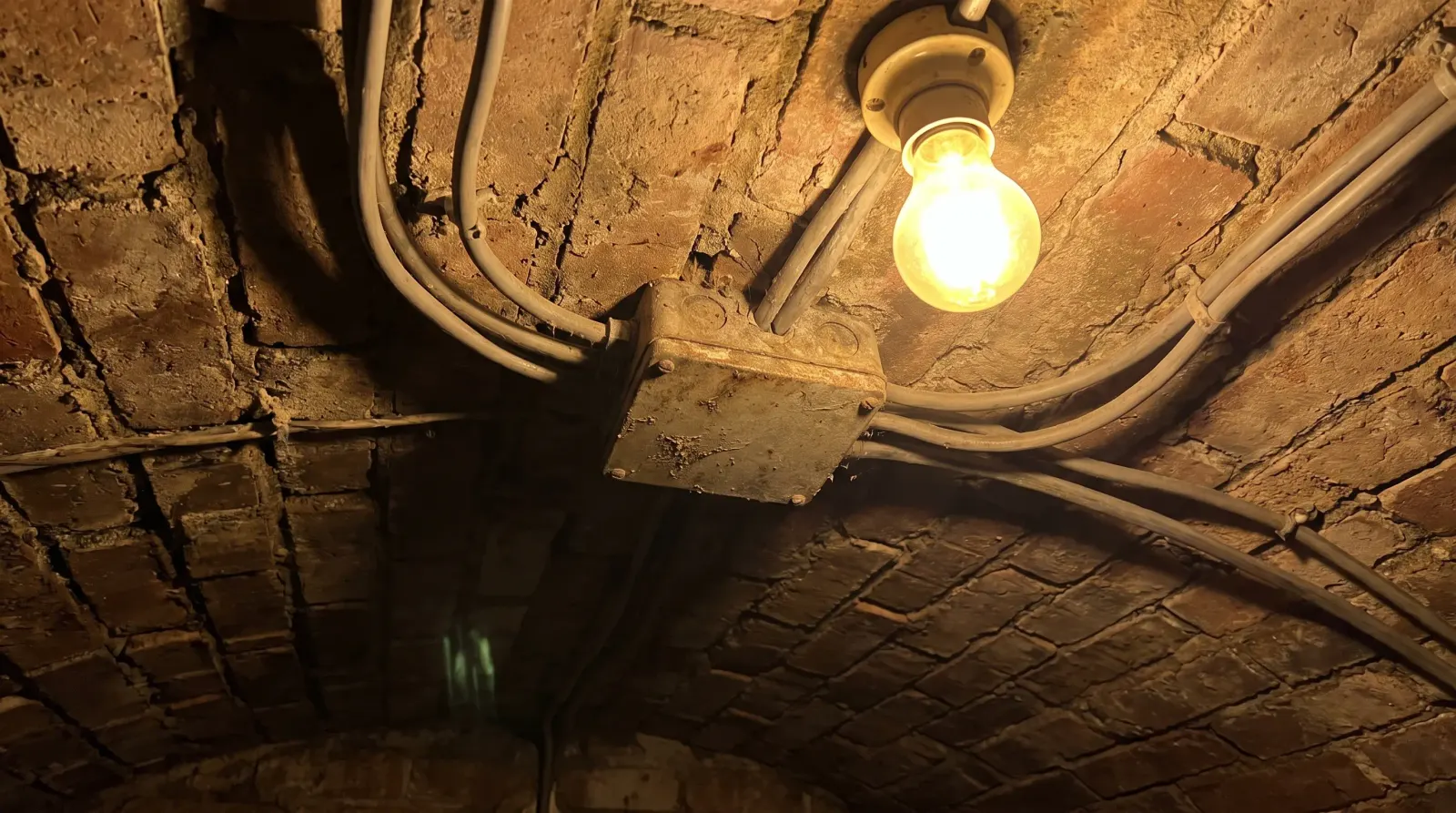 A junction box in the cellar ceiling of a terraced house — fault finding in Leytonstone